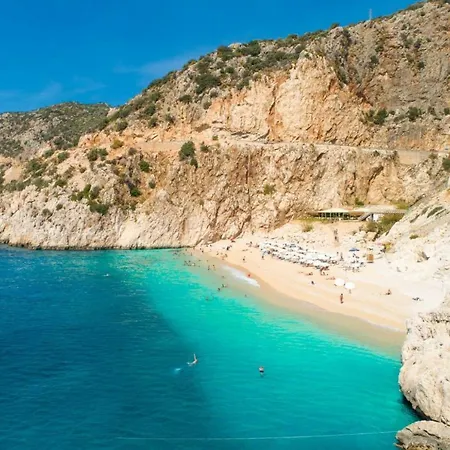 Apple Kalkan