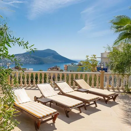 Apple Kalkan